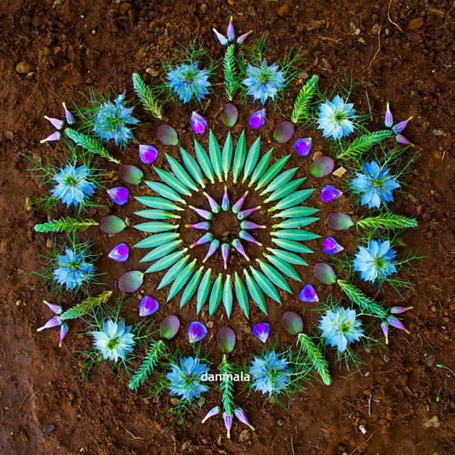 هنرنمایی های شگفت انگیز با گل توسط دان مالا